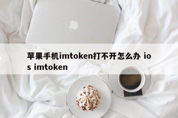 苹果imtoken钱包_苹果手机安装imtoken_