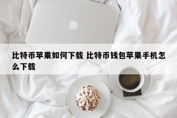 比特币苹果app怎么下载_比特币app苹果版下载安装_